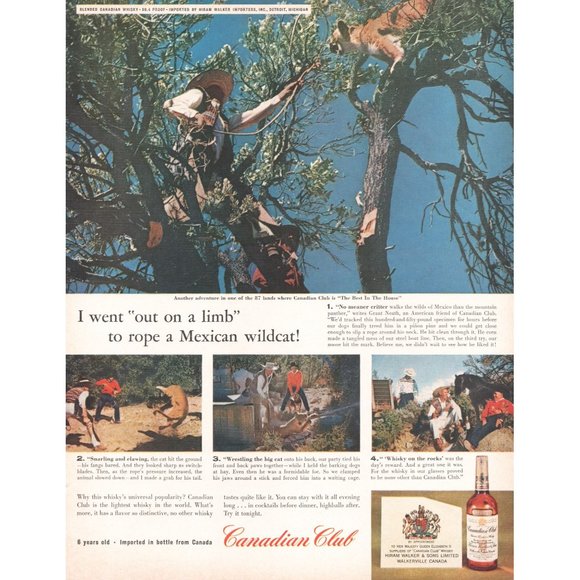 1961 Canadian Club Rye Whisky Vintage Print Ad Wild Cat Mountain Lion Wall Art - Picture 1 of 1